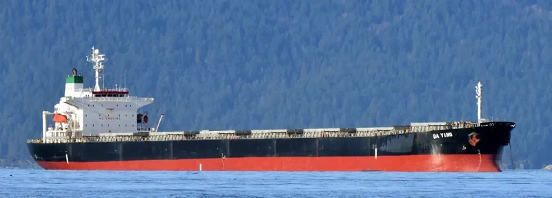 DA YING Bulk Carrier IMO 9254525 photo 3