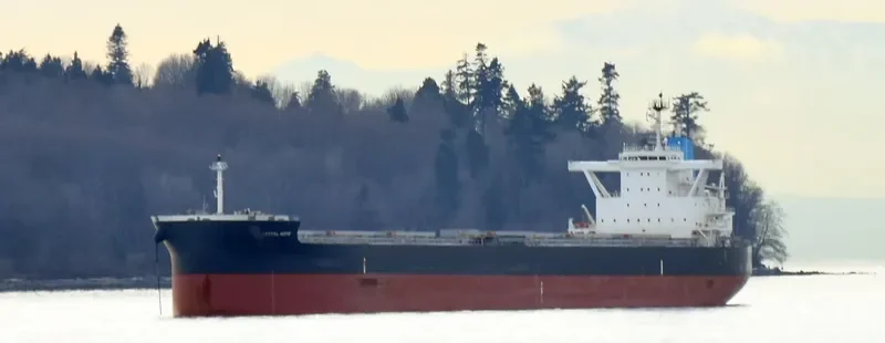 DA YING Bulk Carrier IMO 9254525 photo 4