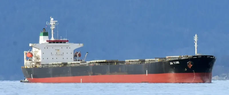 DA YING Bulk Carrier IMO 9254525 photo 5