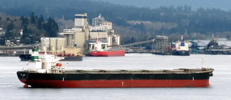 DA YING Bulk Carrier IMO 9254525 photo 6