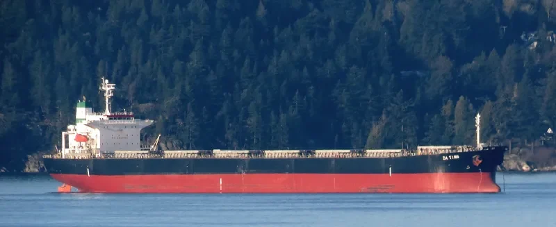 DA YING Bulk Carrier IMO 9254525 photo 8