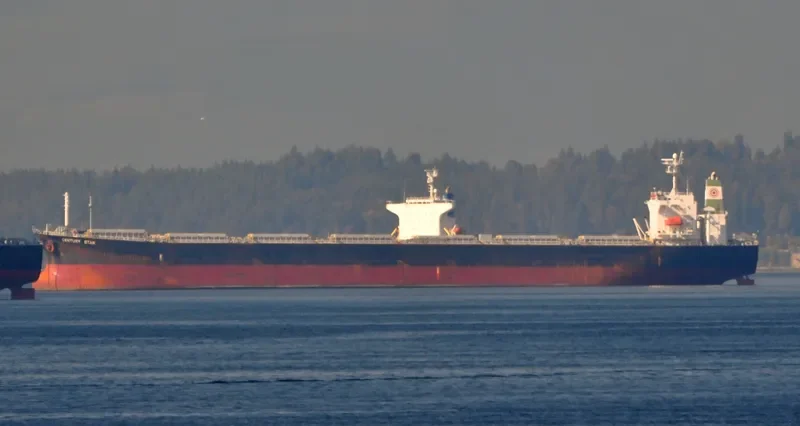 DA YING Bulk Carrier IMO 9254525 photo 10