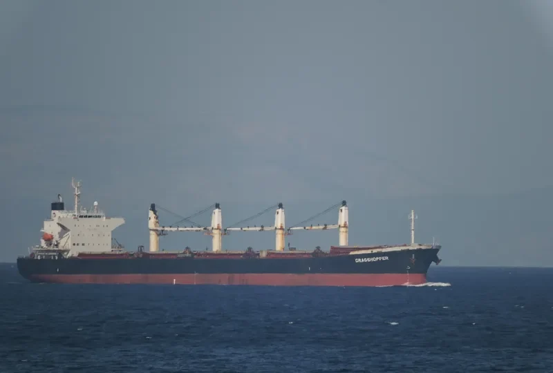 GRAND ROYAL EXPRESS Bulk Carrier IMO 9254549 photo 2
