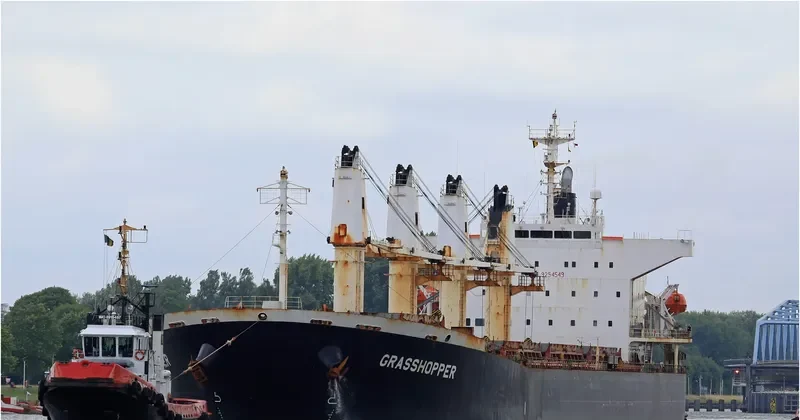 GRAND ROYAL EXPRESS Bulk Carrier IMO 9254549 photo 3