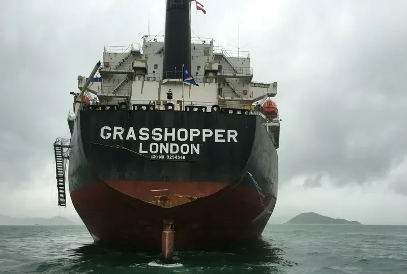 GRAND ROYAL EXPRESS Bulk Carrier IMO 9254549 photo 9