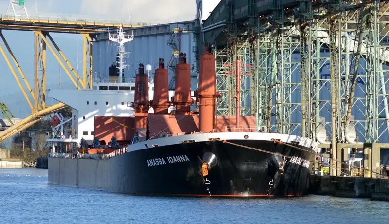 NADHIF Bulk Carrier IMO 9254551 photo 5