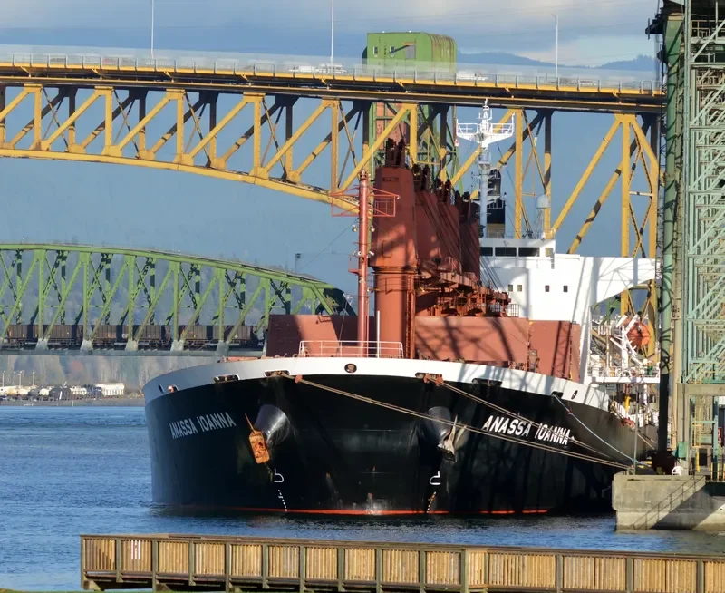 NADHIF Bulk Carrier IMO 9254551 photo 6