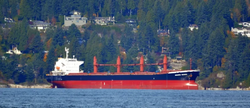 NADHIF Bulk Carrier IMO 9254551 photo 9