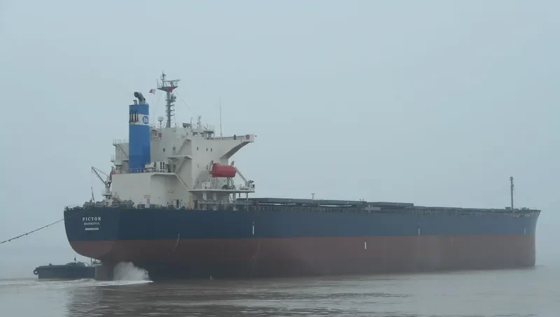 PICTOR Bulk Carrier IMO 9254563