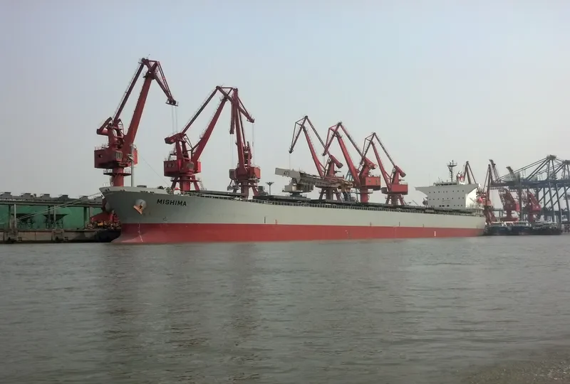 PICTOR Bulk Carrier IMO 9254563 photo 2