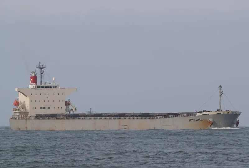 PICTOR Bulk Carrier IMO 9254563 photo 3