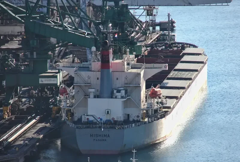 PICTOR Bulk Carrier IMO 9254563 photo 6