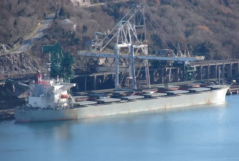 PICTOR Bulk Carrier IMO 9254563 photo 7