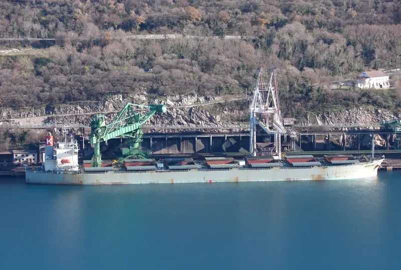 PICTOR Bulk Carrier IMO 9254563 photo 8