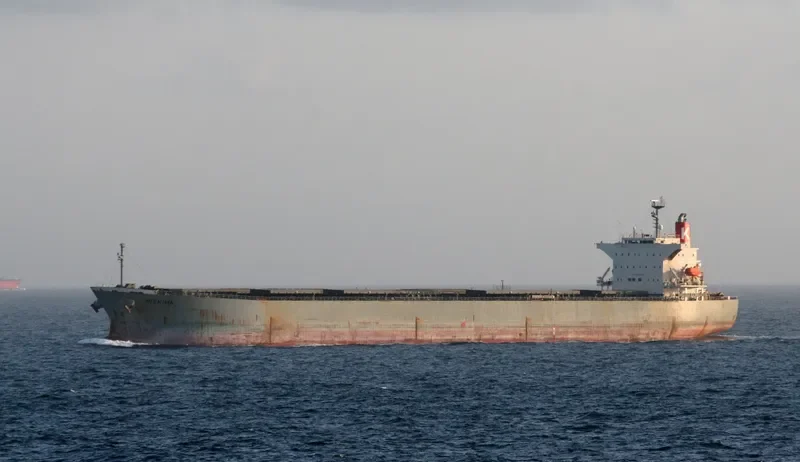 PICTOR Bulk Carrier IMO 9254563 photo 9