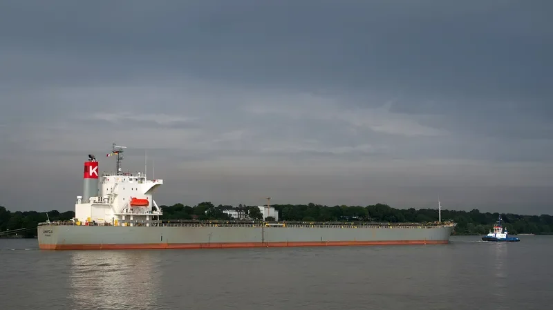 EMMAKRIS II Bulk Carrier IMO 9254575 photo 6