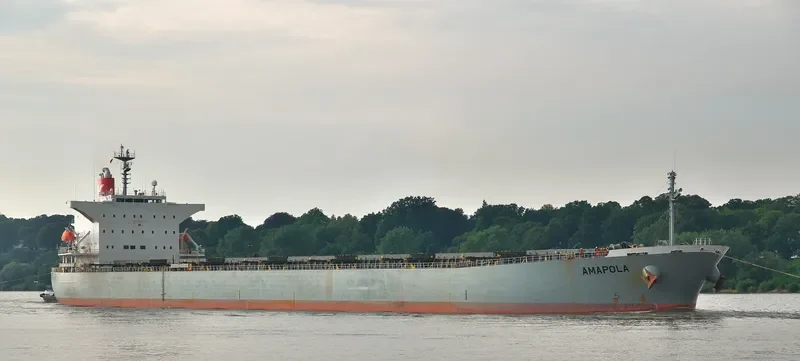EMMAKRIS II Bulk Carrier IMO 9254575 photo 7