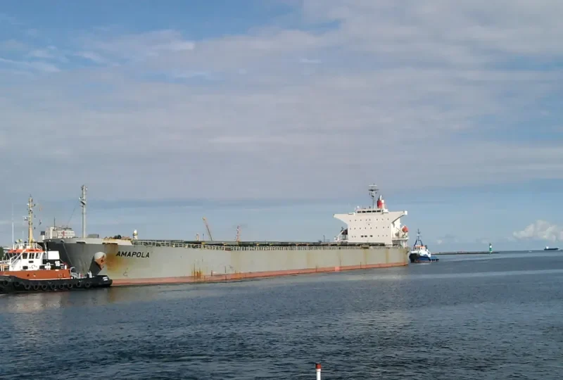 EMMAKRIS II Bulk Carrier IMO 9254575 photo 10