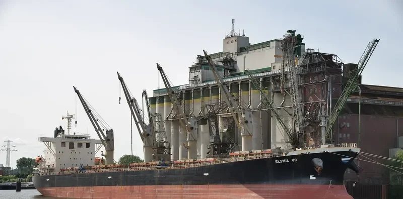 ELPIDA GR Bulk Carrier IMO 9254630