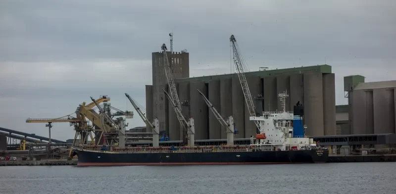 ELPIDA GR Bulk Carrier IMO 9254630 photo 4