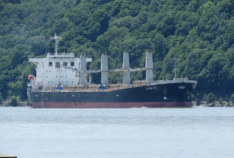 ELPIDA GR Bulk Carrier IMO 9254630 photo 5