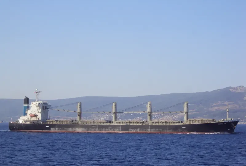 ELPIDA GR Bulk Carrier IMO 9254630 photo 8