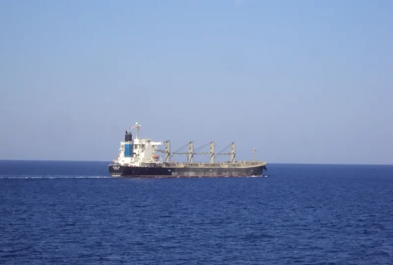 ELPIDA GR Bulk Carrier IMO 9254630 photo 10