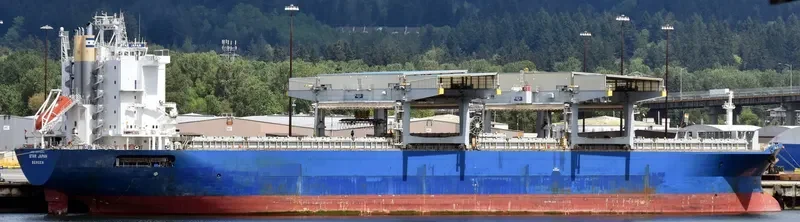 STAR JAPAN General Cargo IMO 9254654 photo 4