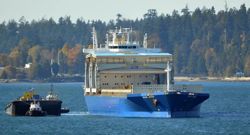 STAR JAPAN General Cargo IMO 9254654 photo 6