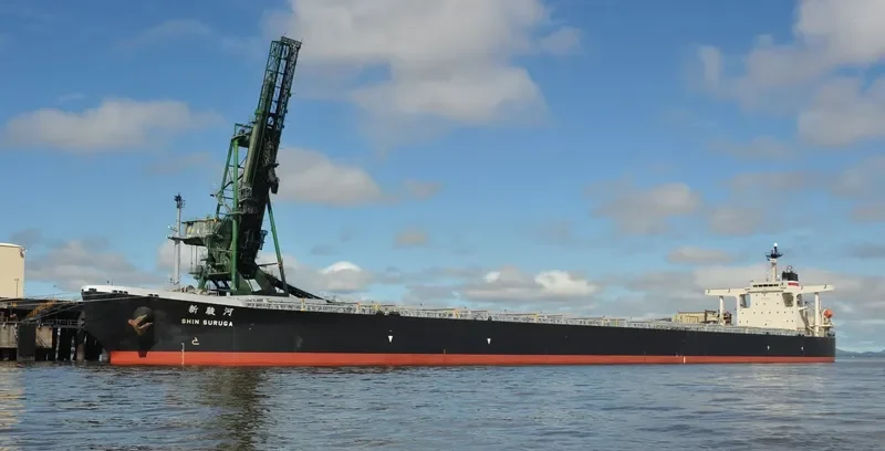 SUNNY LINK Bulk Carrier IMO 9254666 photo 6