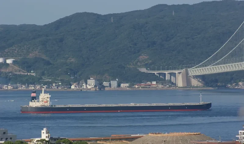 SUNNY LINK Bulk Carrier IMO 9254666 photo 8