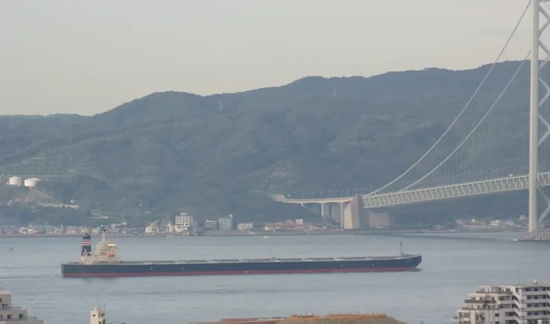 WINNING SEA Bulk Carrier IMO 9254678 photo 6
