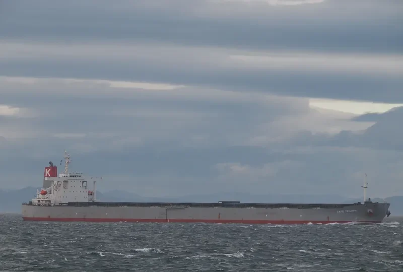 STAR TRIUMPH Bulk Carrier IMO 9254692 photo 3