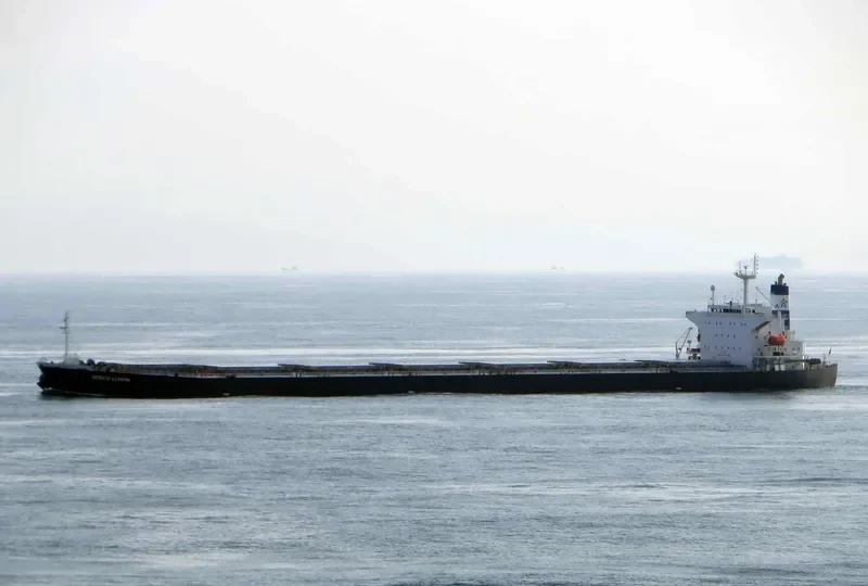 ROSCO LEMON Bulk Carrier IMO 9254707 photo 2