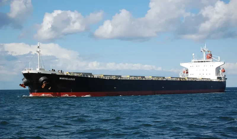 ROSCO LEMON Bulk Carrier IMO 9254707 photo 8