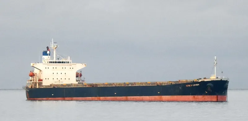 ROSCO LEMON Bulk Carrier IMO 9254707 photo 9
