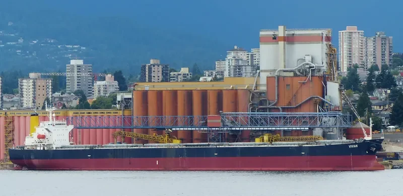 OCEAN GINGER Bulk Carrier IMO 9254719 photo 5
