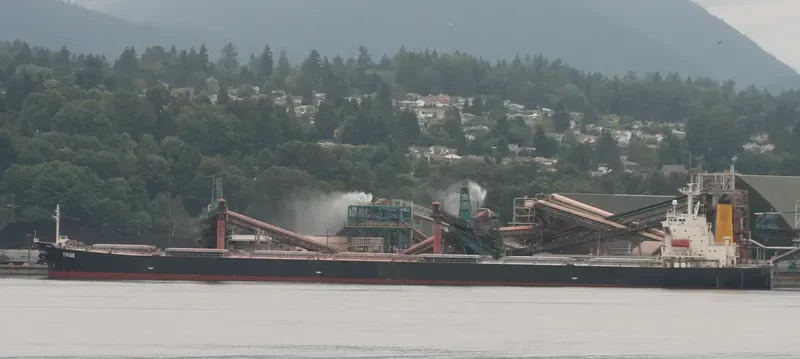 OCEAN GINGER Bulk Carrier IMO 9254719 photo 10