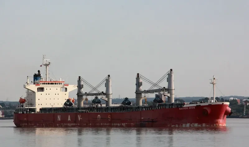 NAVIOS HIOS Bulk Carrier IMO 9254733