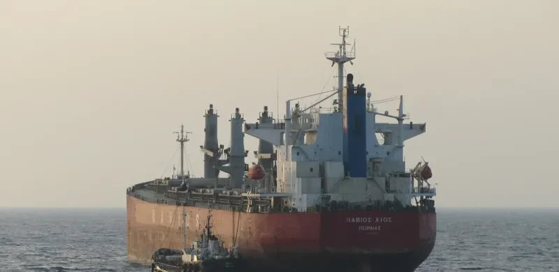 NAVIOS HIOS Bulk Carrier IMO 9254733 photo 2