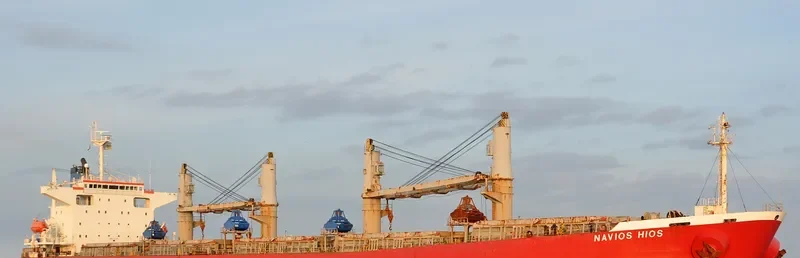 NAVIOS HIOS Bulk Carrier IMO 9254733 photo 4