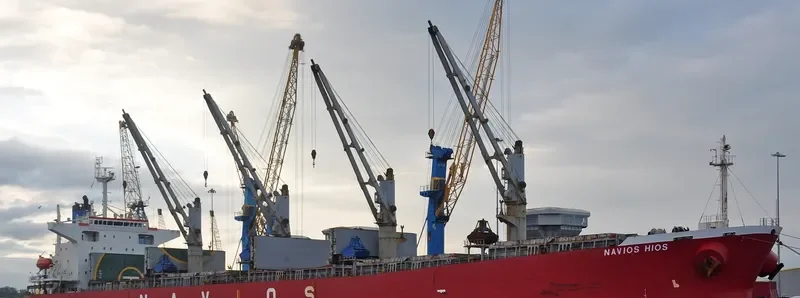 NAVIOS HIOS Bulk Carrier IMO 9254733 photo 6