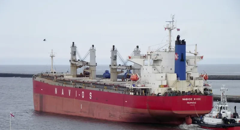 NAVIOS HIOS Bulk Carrier IMO 9254733 photo 8