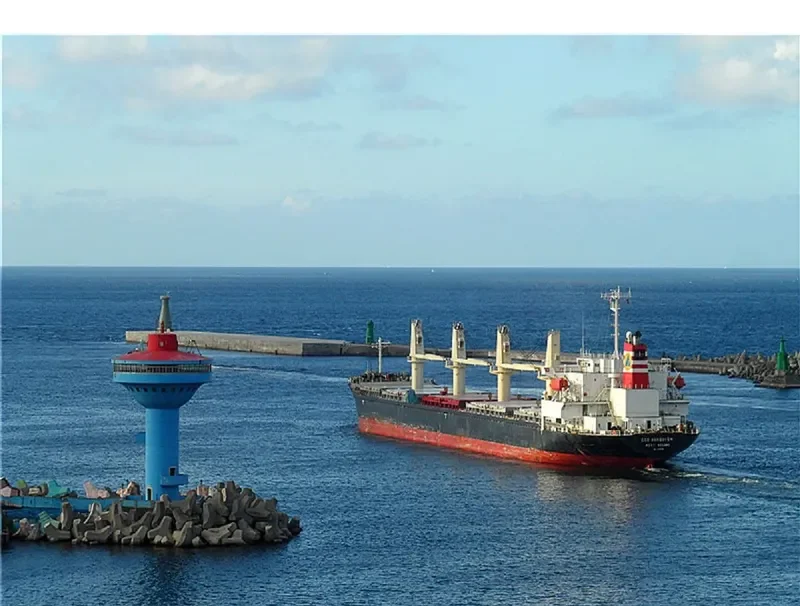 TAN BINH 136 Bulk Carrier IMO 9254745
