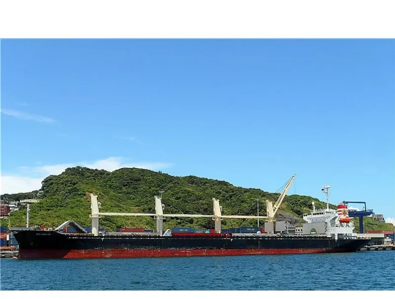 TAN BINH 136 Bulk Carrier IMO 9254745 photo 3