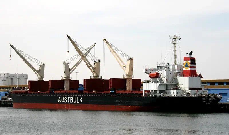 TAN BINH 136 Bulk Carrier IMO 9254745 photo 6