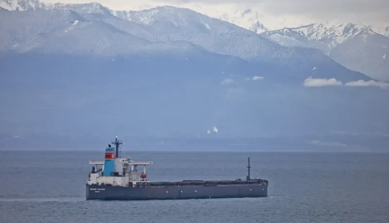 GRANDE SOLARIS Bulk Carrier IMO 9254769 photo 3