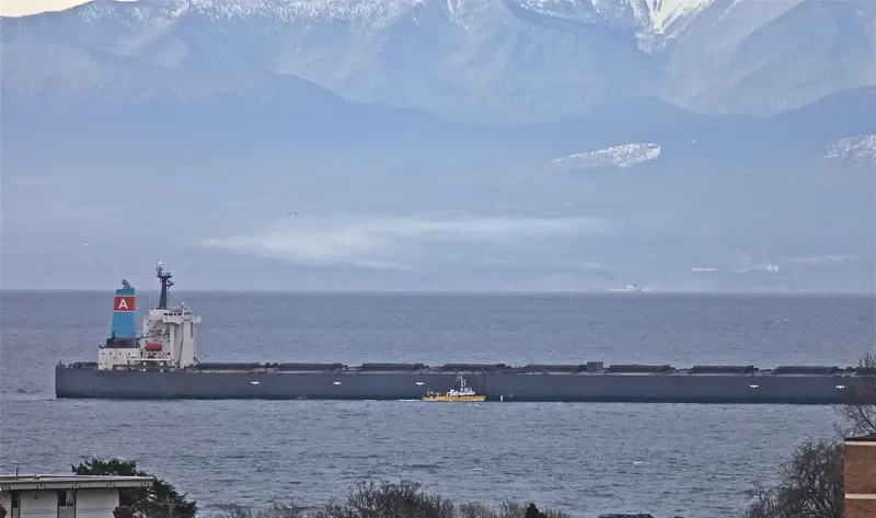 GRANDE SOLARIS Bulk Carrier IMO 9254769 photo 4