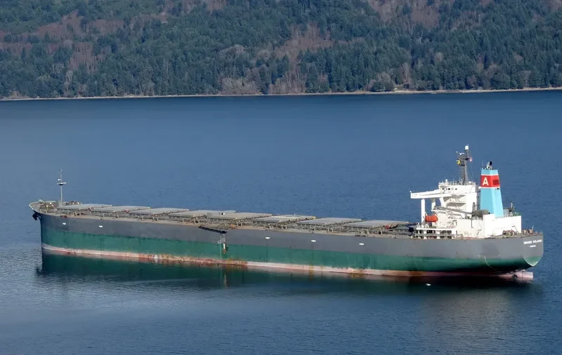 GRANDE SOLARIS Bulk Carrier IMO 9254769 photo 8