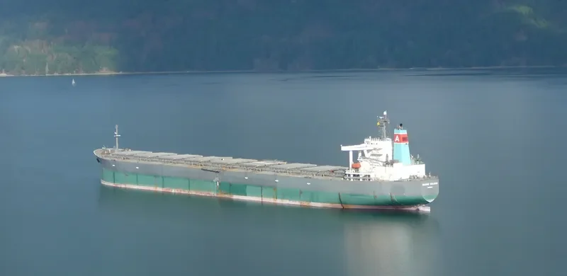 GRANDE SOLARIS Bulk Carrier IMO 9254769 photo 10